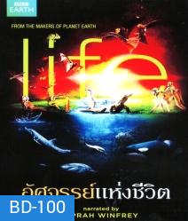 Life อัศจรรย์แห่งชีวิต