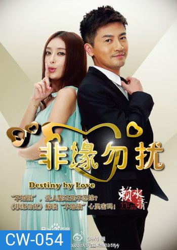 Destiny By Love แผนรักสยบเพลย์บอย
