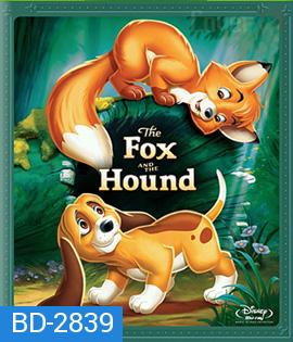 The Fox and the Hound (1981) เพื่อนแท้ในป่าใหญ่ 1