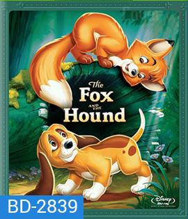 The Fox and the Hound (1981) เพื่อนแท้ในป่าใหญ่ 1