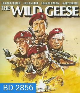The Wild Geese (1978) 50 เดนตาย