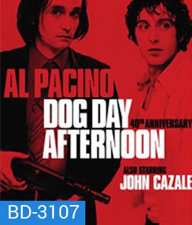 Dog Day Afternoon (1975) ปล้นกลางแดด