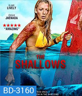 The Shallows (2016) นรกน้ำตื้น