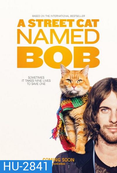A Street Cat Named Bob