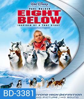 Eight Below (2006) ปฏิบัติการ 8 พันธุ์อึดสุดขั้วโลก