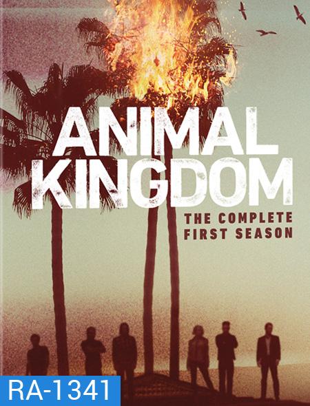 Animal Kingdom Season 1 ตระกูลชั่ว ครอบครัวโจร ปี 1 ( 10 ตอนจบ )