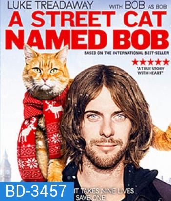 A Street Cat Named Bob (2016) บ๊อบ แมว เพื่อน คน