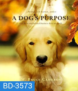 A Dog's Purpose (2017) หมา เป้าหมาย และเด็กชายของผม