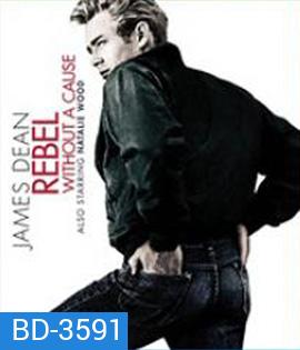 Rebel Without a Cause (1955) วัยอันตราย