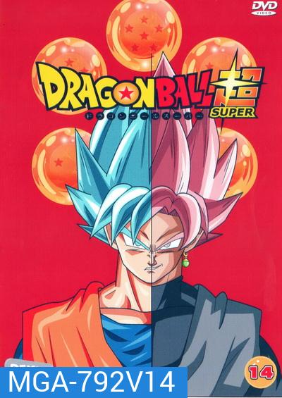 Dragon Ball Super Vol.14