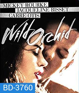 Wild Orchid (1990) กล้วยไม้ป่าคอนกรีต