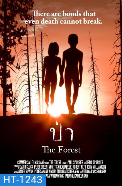 The Forest ป่า
