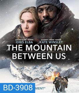 The Mountain Between Us (2017)