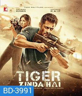 Tiger Zinda Hai (2017) เรียกข้าว่า..เสือ 2