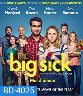 The Big Sick (2017) รักมันป่วย (ซวยแล้วเราเข้ากันไม่ได้)
