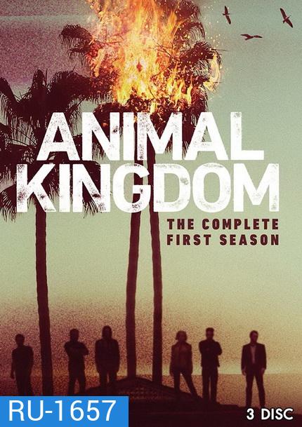 ANIMAL KINGDOM ตระกูลชั่ว ครอบครัวโจร Season 1 (10 ตอนจบ)