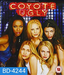 Coyote Ugly (2000) บาร์ห้าว สาวฮ็อต