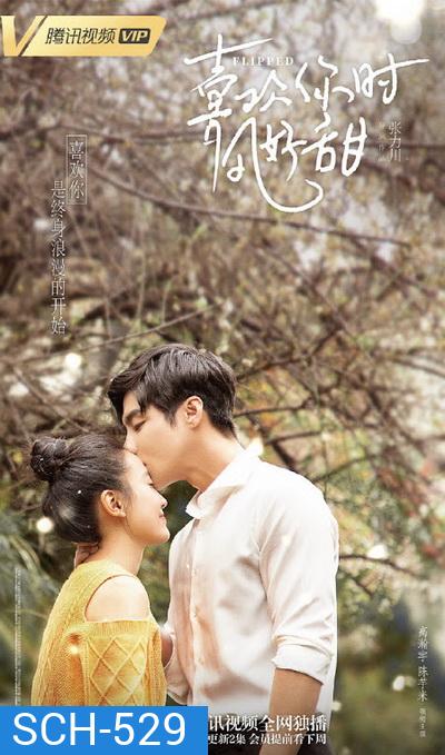 Flipped รักพลิกล็อค (24 ตอนจบ)