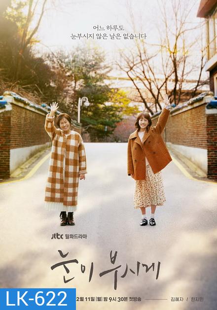 Dazzling / The Light in Your Eyes ย้อนเวลารัก ( 12 ตอนจบ )