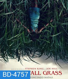 In The Tall Grass (2019) พงหลอนมรณะ {}