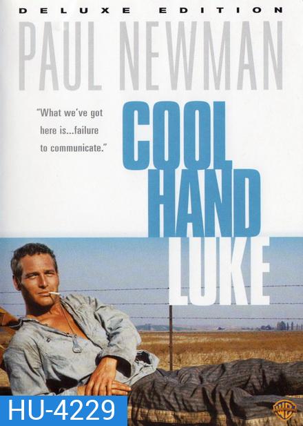 Cool Hand Luke (1967) คนสู้คน