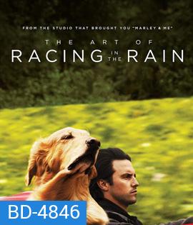 The Art of Racing in the Rain (2019) อุ่นไอหัวใจตูบ