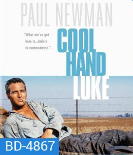 Cool Hand Luke (1967) คนสู้คน