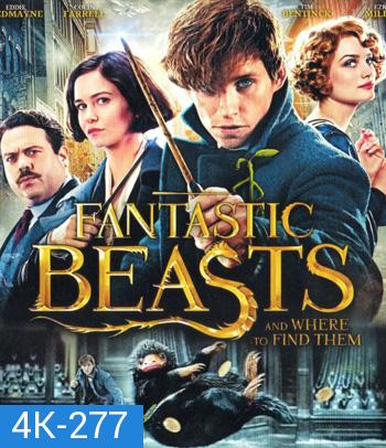 4K - Fantastic Beasts and Where to Find Them (2016) สัตว์มหัศจรรย์และถิ่นที่อยู่ - แผ่นหนัง 4K UHD