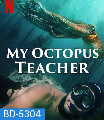 My Octopus Teacher (2020) บทเรียนจากปลาหมึก