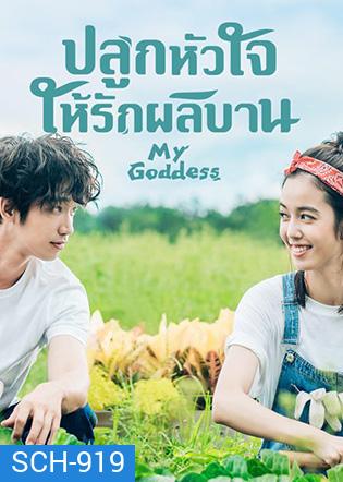 My Goddess (2018) ปลูกหัวใจให้รักผลิบาน