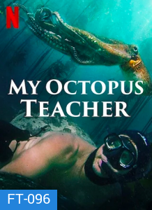 My Octopus Teacher (2020) บทเรียนจากปลาหมึก