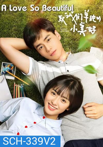 A Love So Beautiful รักนี้มีไว้เพื่อเธอ (23 ตอนจบ+Special)