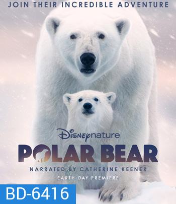 Polar Bear (2022)
