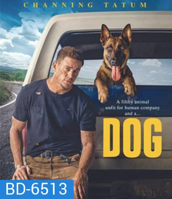 Dog (2022) ด็อก เพื่อนกันพันธุ์ห้าว