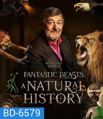 Fantastic Beasts A Natural History (2022)