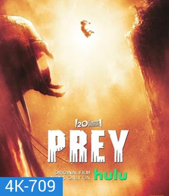 4K - Prey (2022) ผู้ล่า มหากาฬ - แผ่นหนัง 4K UHD
