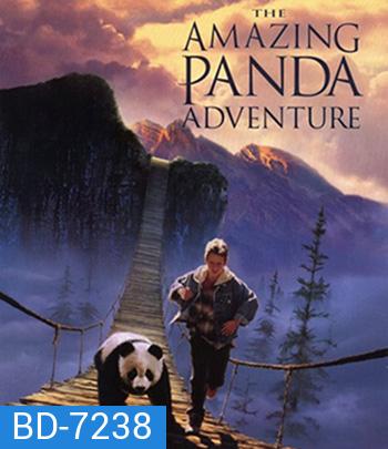 The Amazing Panda Adventure (1995) แพนด้าน้อยผจญภัยสุดขอบฟ้า
