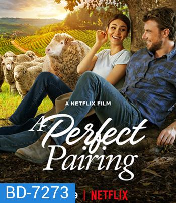 A Perfect Pairing (2022) คู่นี้... คือเพอร์เฟค