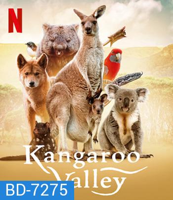 Kangaroo Valley (2022) หุบเขาแห่งจิงโจ้