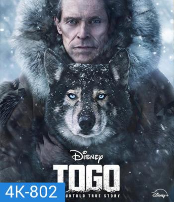 4K - Togo (2019) โตโกหมาป่ายอดนักสู้ - แผ่นหนัง 4K UHD