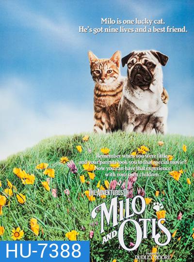 The Adventures of Milo and Otis (1986) แมวจ๋าหมาอยู่นี่