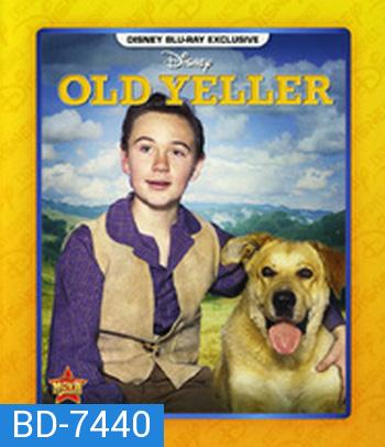 Old Yeller (1957) เพือนแท้คู่ชีวิต,สุนัขล่าคู่ชีวิต (ภาพเท่าดีวีดี)
