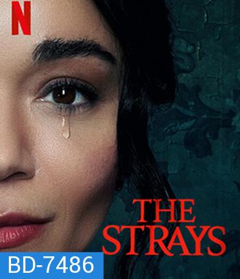 The Strays (2023) คนหลงทาง