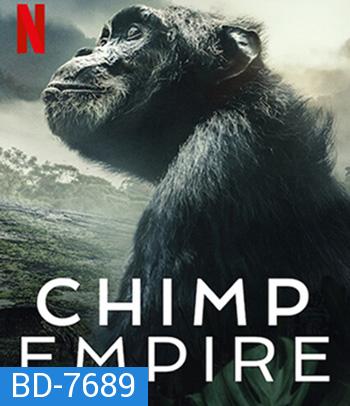 Chimp Empire (2023) อาณาจักรซิมแปนซี