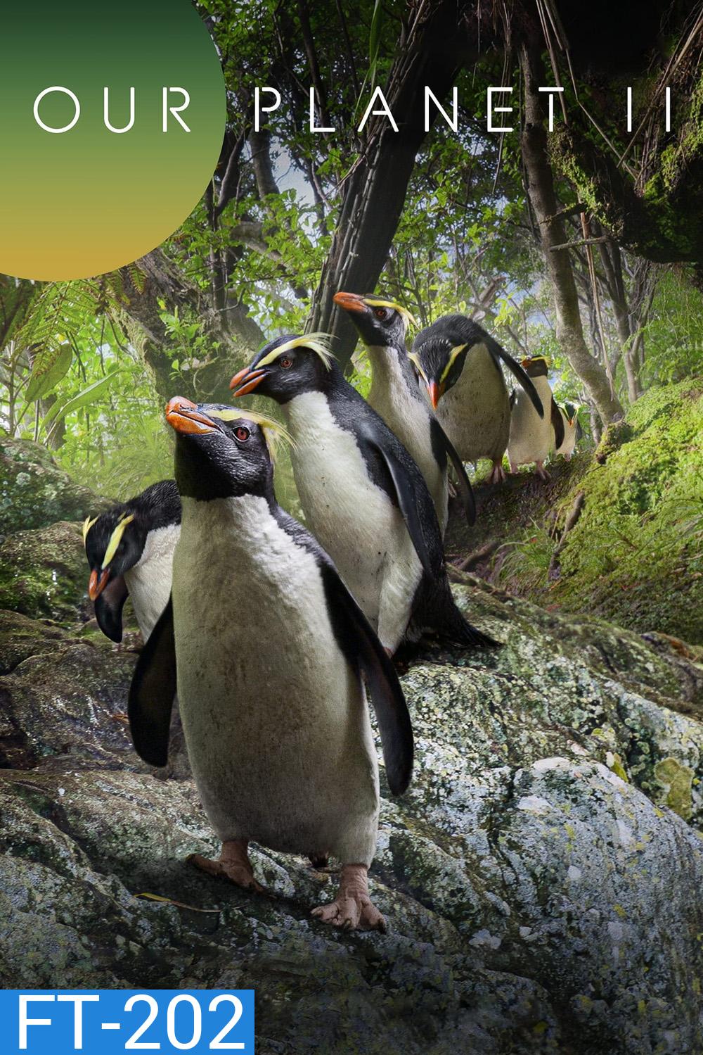 Our Planet (2023) Season 2 (ภาพ HDR เพราะเป็นไฟล์จาก 4K)