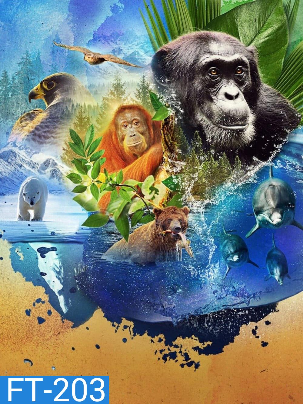 Animal Season 2 (2022) สัตว์มหัศจรรย์ 2 (4 ตอน)