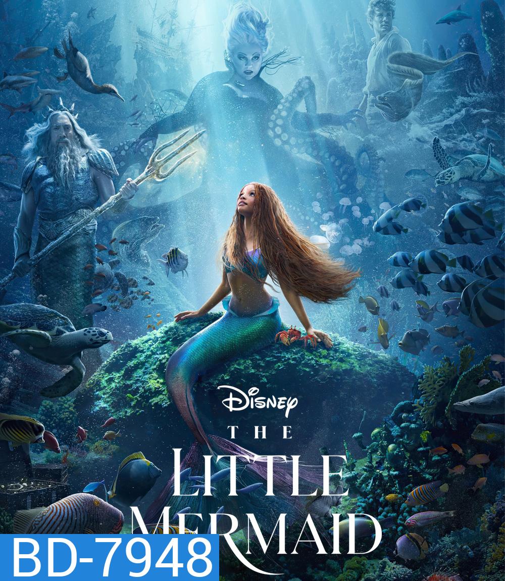 [ชนโรง!..ชัด + V.2 - ดูรูปตัวอย่างด้านล่าง ] The Little Mermaid (2023) เงือกน้อยผจญภัย
