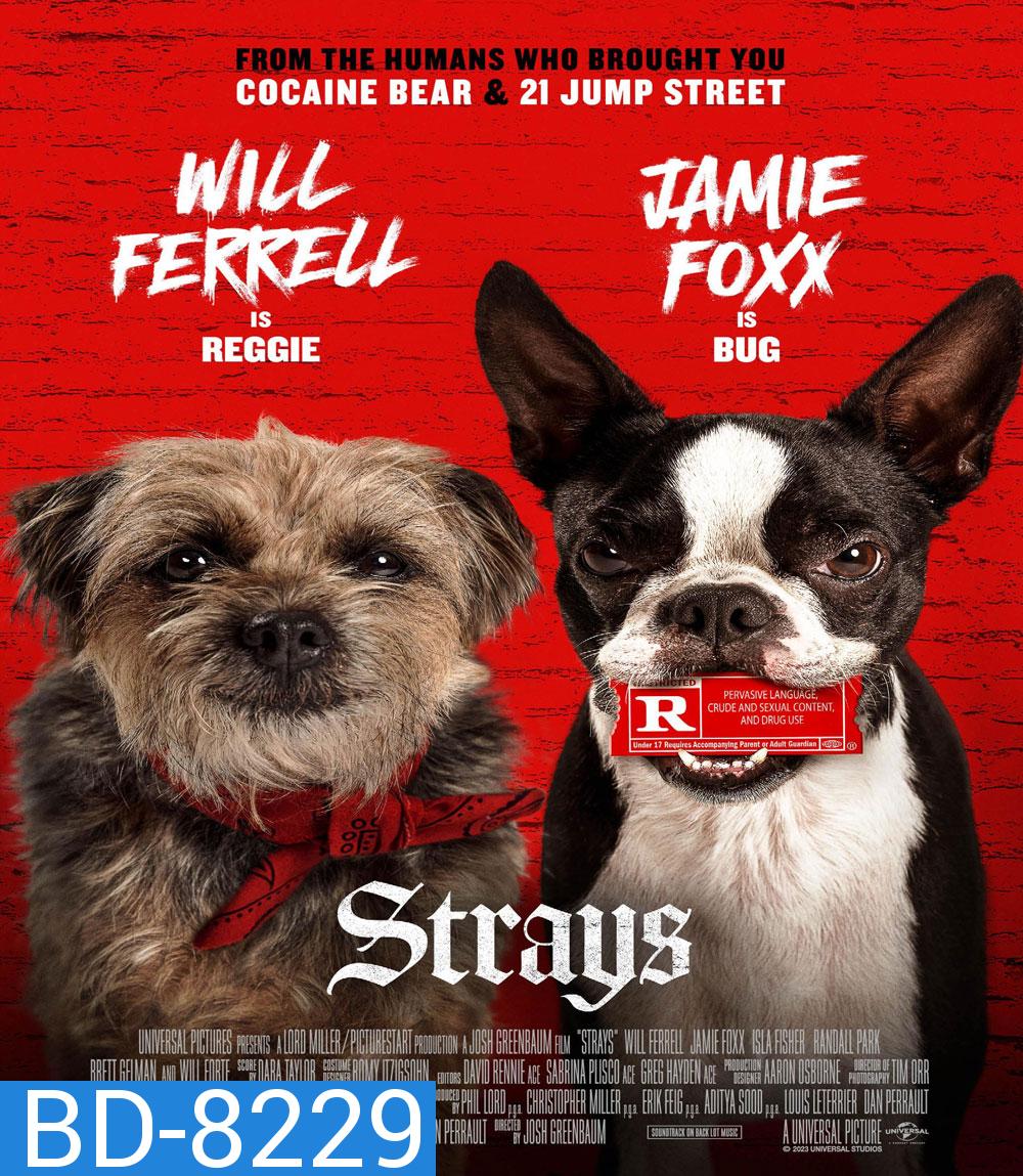 ชีวิตหมาต้องไม่หมา Strays (2023)