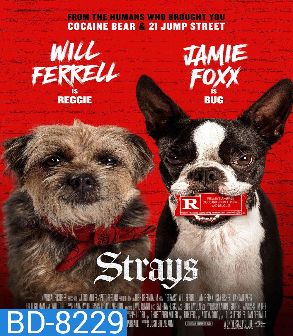 ชีวิตหมาต้องไม่หมา Strays (2023)