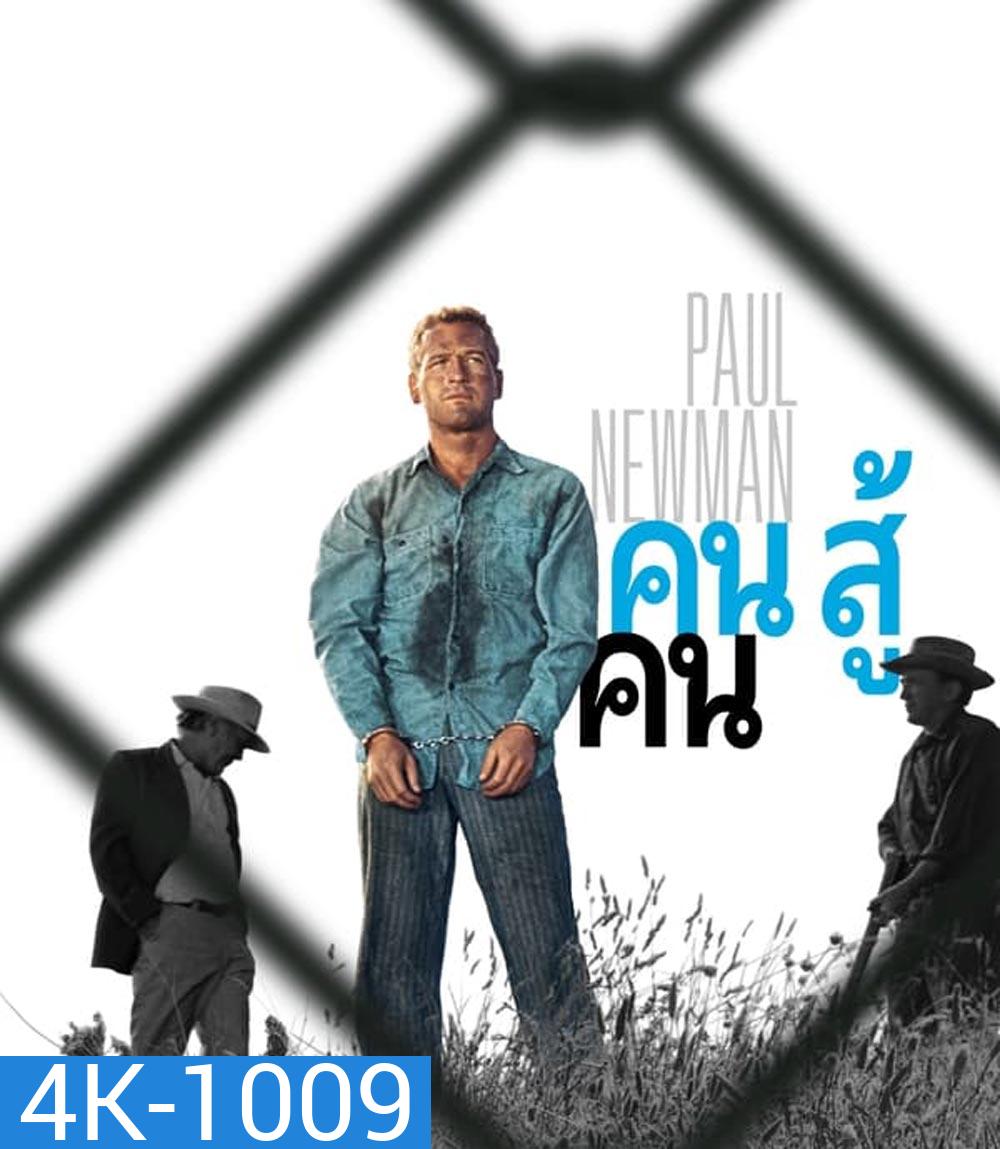 4K - Cool Hand Luke (1967) คนสู้คน - แผ่นหนัง 4K UHD